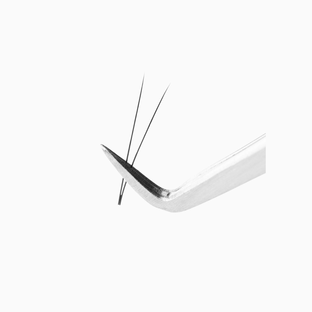 Eyelash Extensions Perfect Solution Premade Fans | להלחמת ריסים