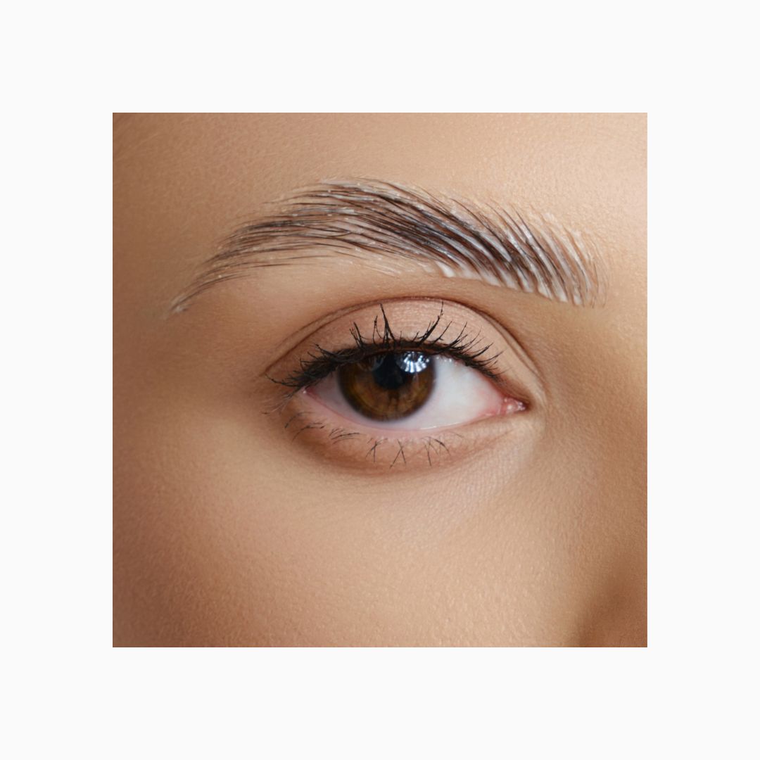 תחליב מקבע צבע לגבות | סשה