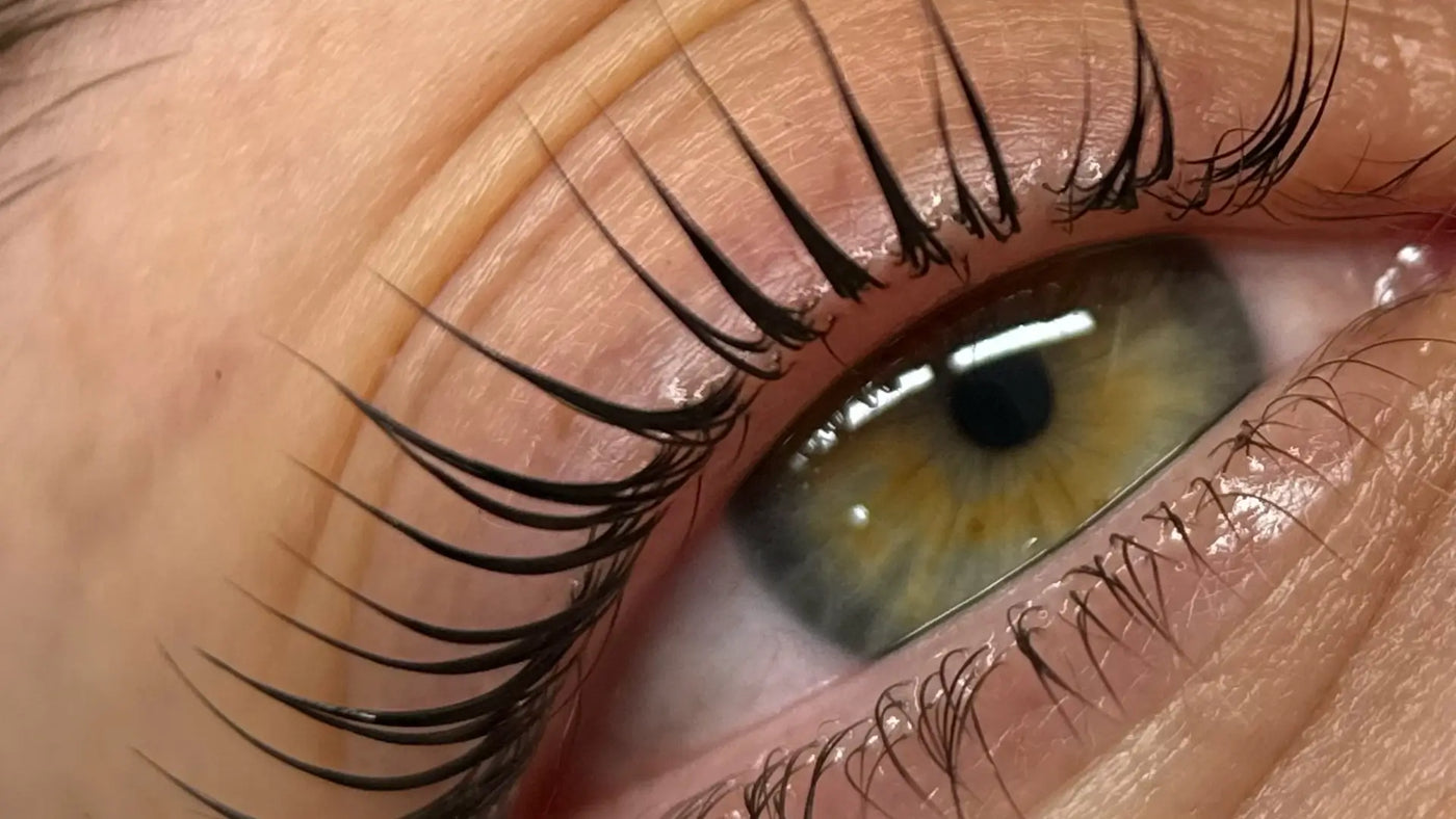 הרמת ריסים מקרו - מבט מקרוב על התוצאה