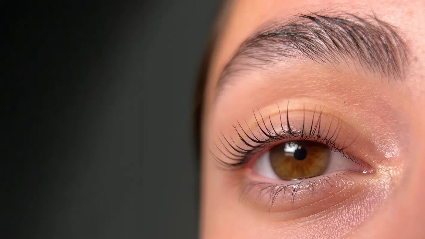 הדגמת עיצוב גבות - שיעור אונליין